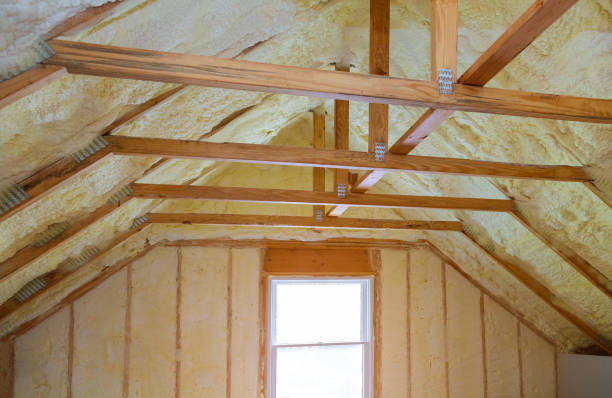 Best Geographic-Specific Insulation Services in Sac City, IA
