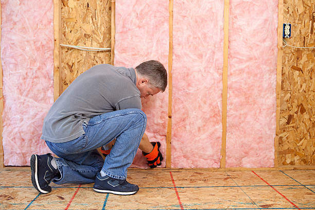 Best Fiberglass Insulation in Sac City, IA